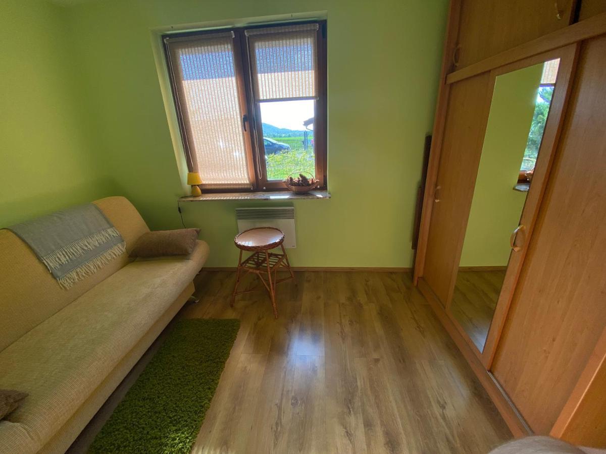 Ustron Dom Aneta Villa Kültér fotó
